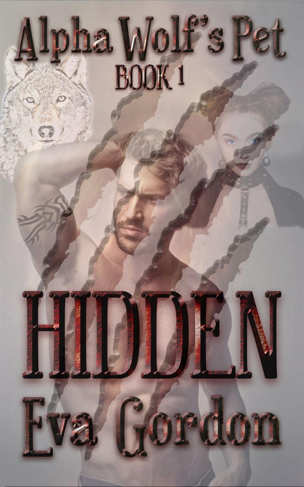 Big bigCover of Alpha Wolf's Pet, Hidden, Book 1