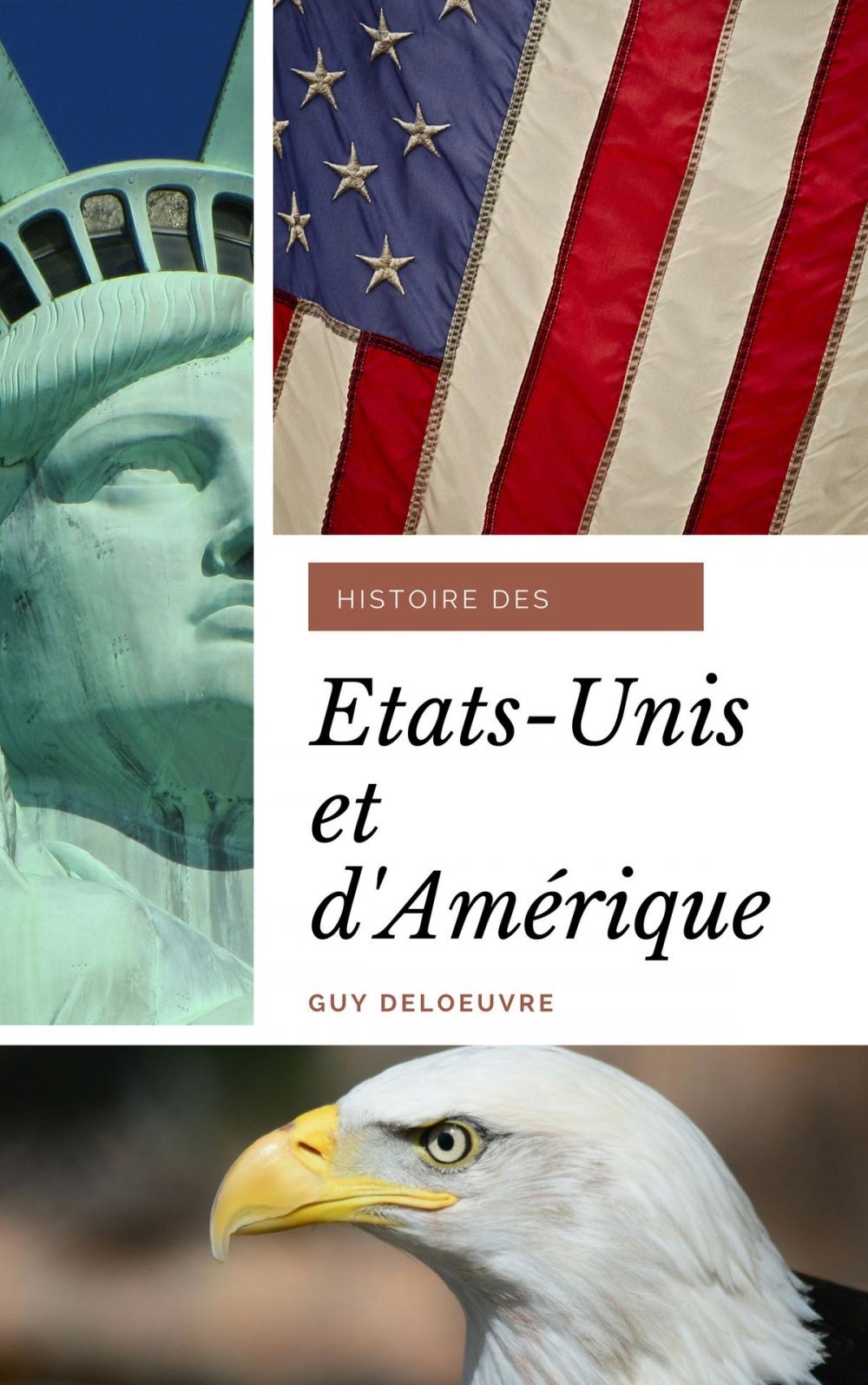 Big bigCover of Histoire des États-Unis et d’Amérique