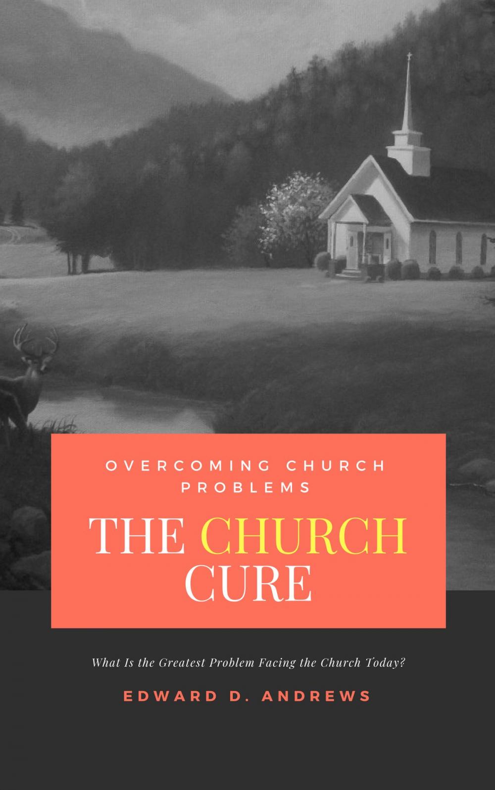 Big bigCover of THE CHURCH CURE