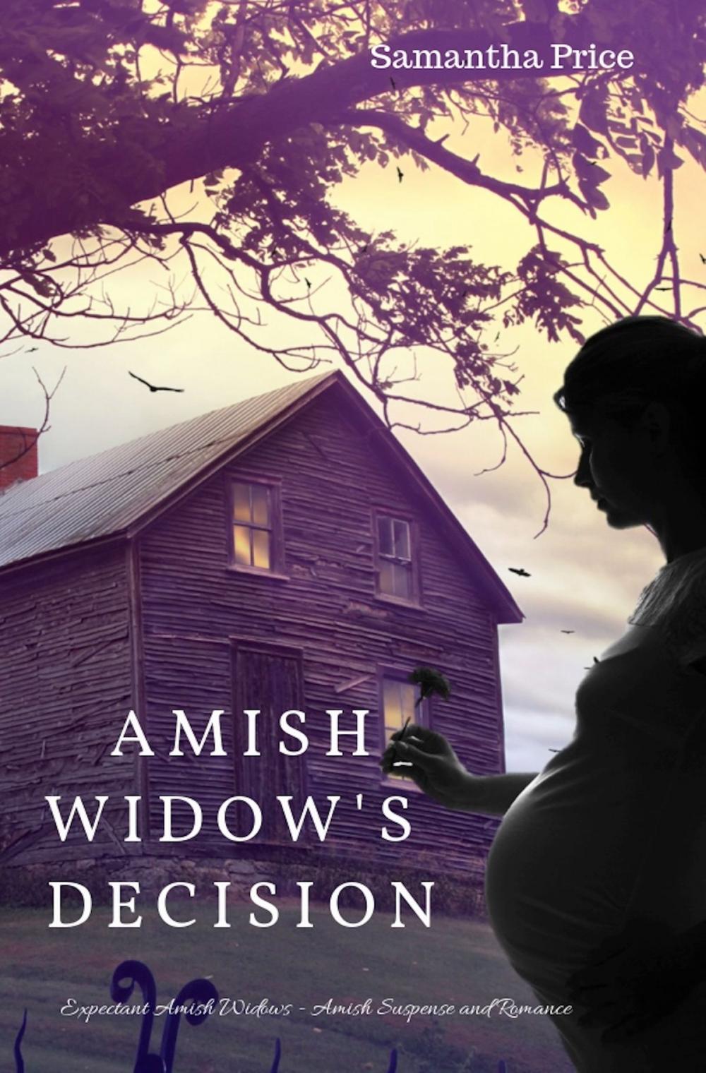 Big bigCover of Amish Widow's Decision