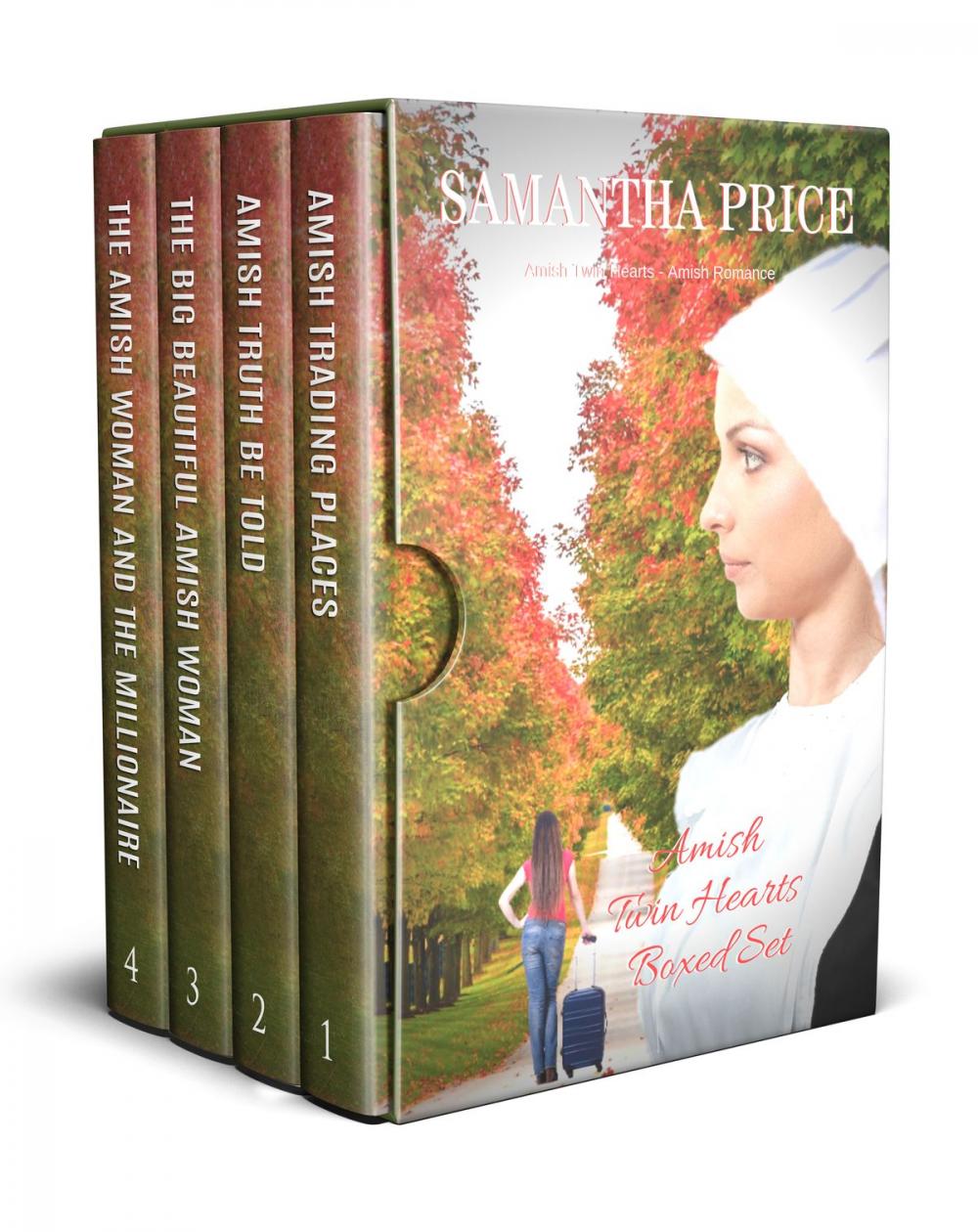 Big bigCover of Amish Twin Hearts Boxed Set