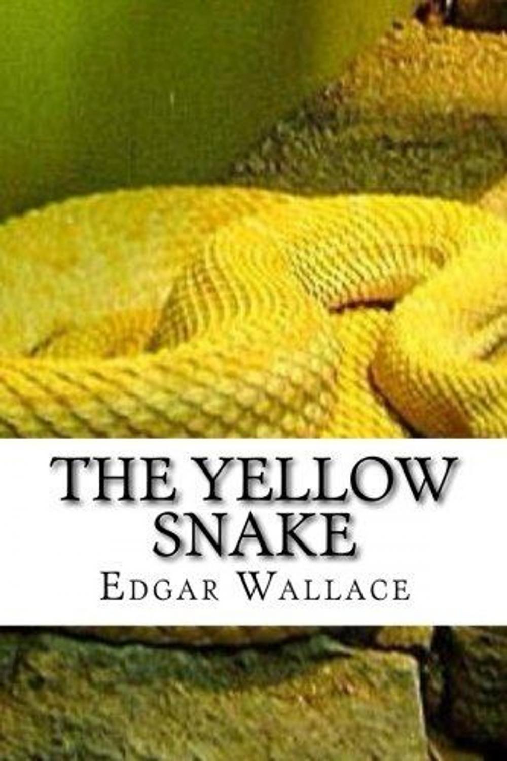 Big bigCover of The Yellow Snake