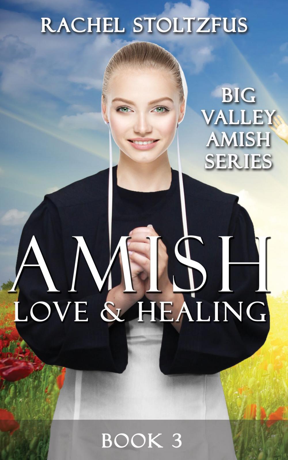 Big bigCover of Amish Love and Healing