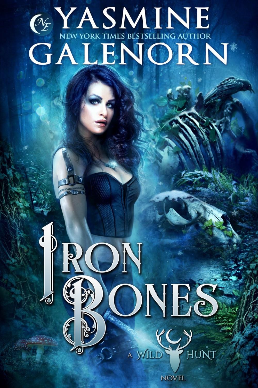 Big bigCover of Iron Bones