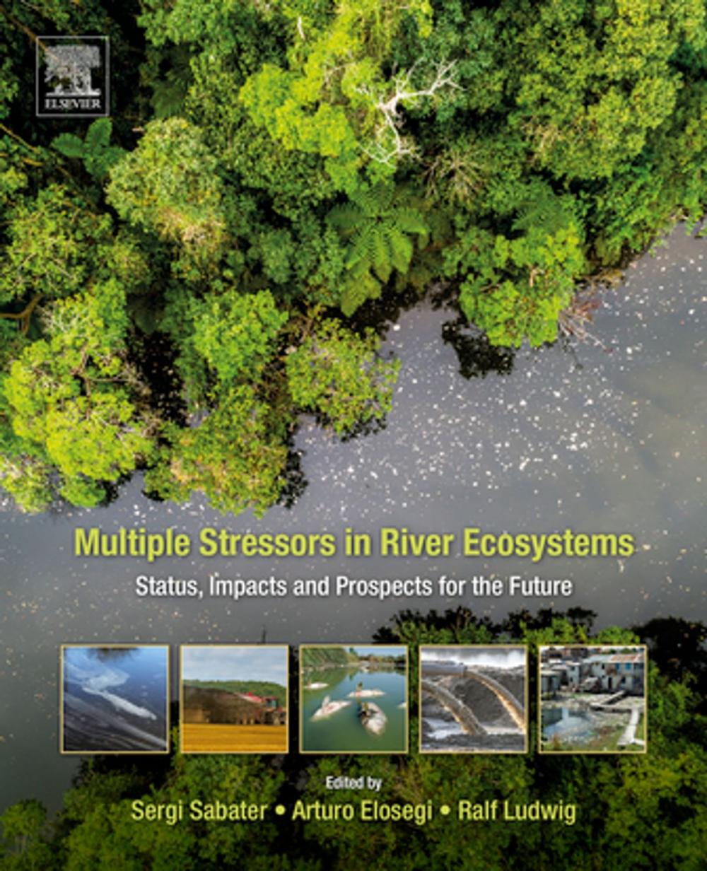 Big bigCover of Multiple Stressors in River Ecosystems