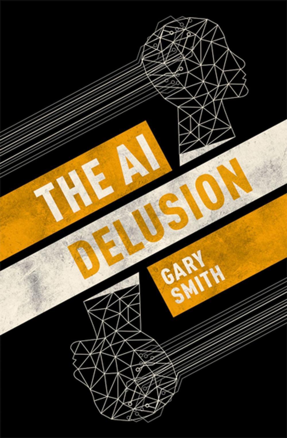 Big bigCover of The AI Delusion