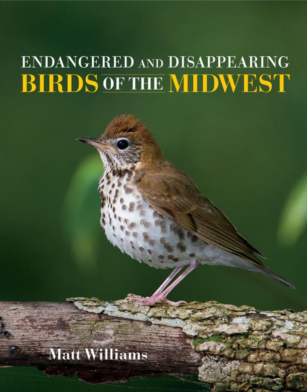 Big bigCover of Endangered and Disappearing Birds of the Midwest