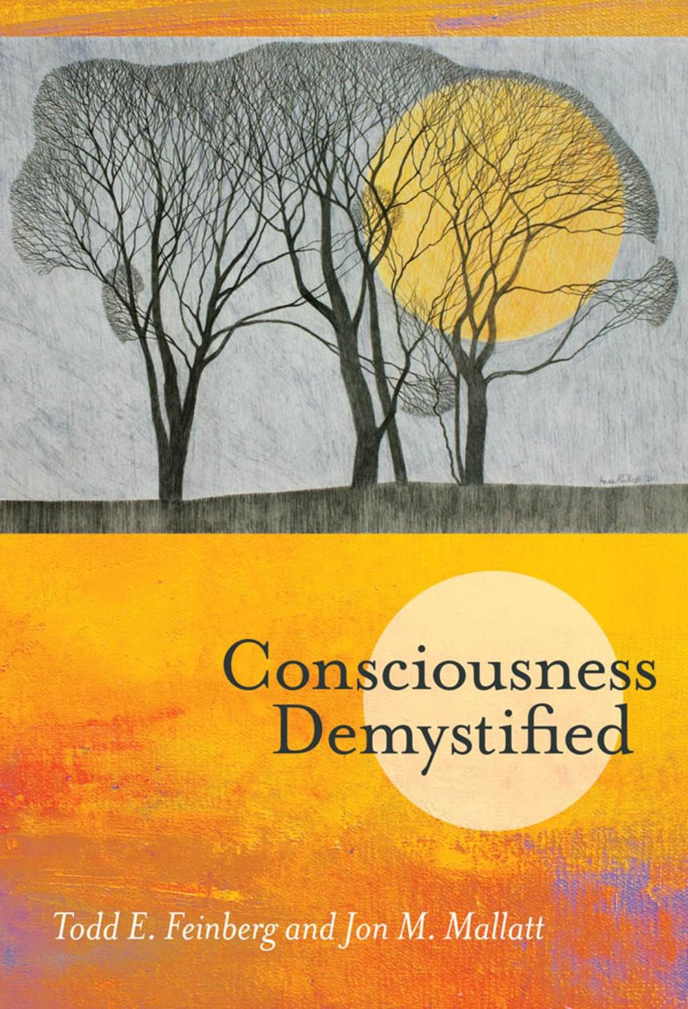 Big bigCover of Consciousness Demystified