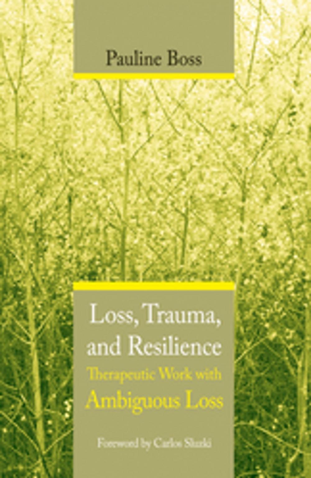 Big bigCover of Loss, Trauma, and Resilience: Therapeutic Work With Ambiguous Loss