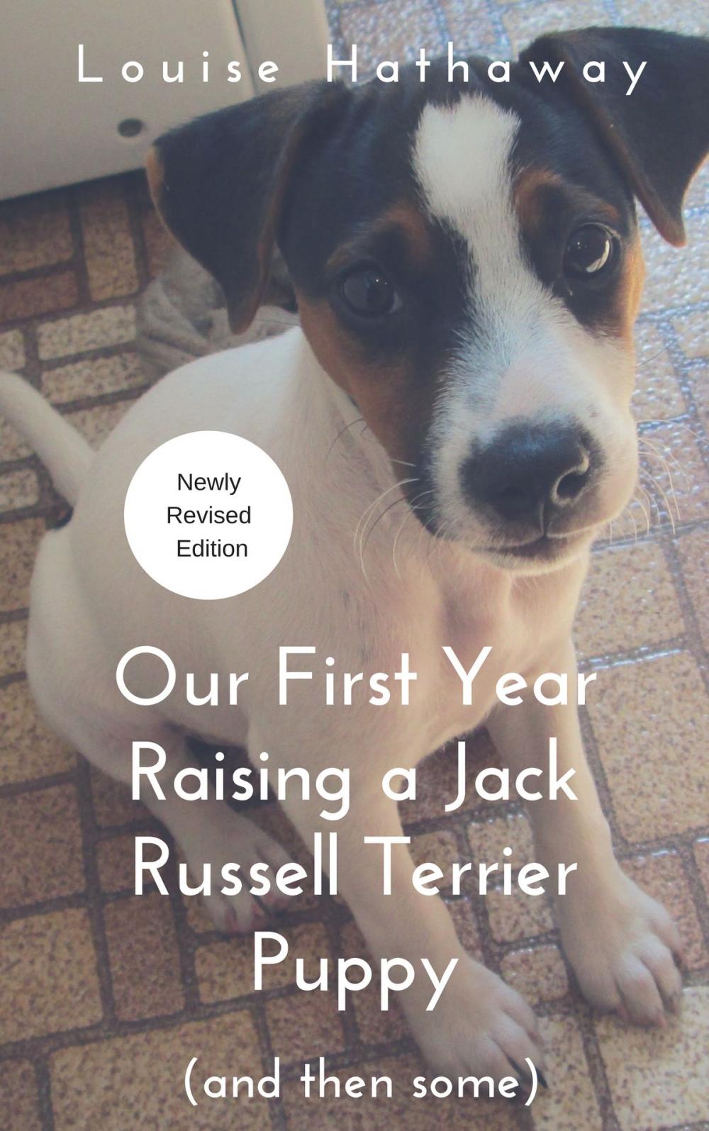 Big bigCover of Our First Year Raising a Jack Russell Terrier Puppy (And Then Some)