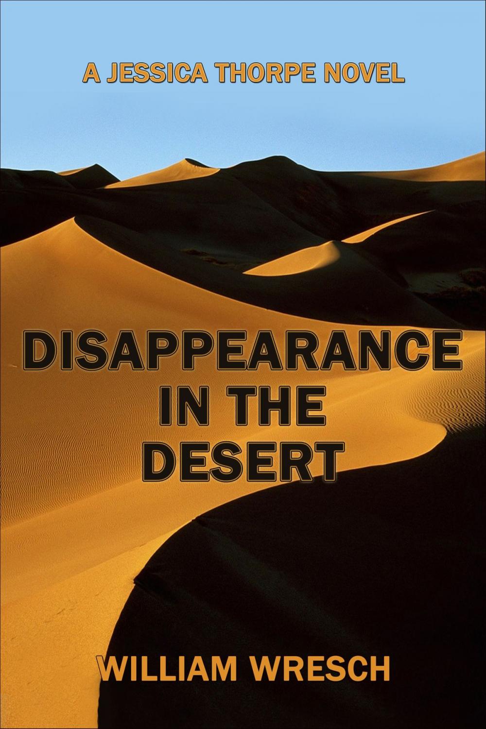 Big bigCover of Disappearance in the Desert