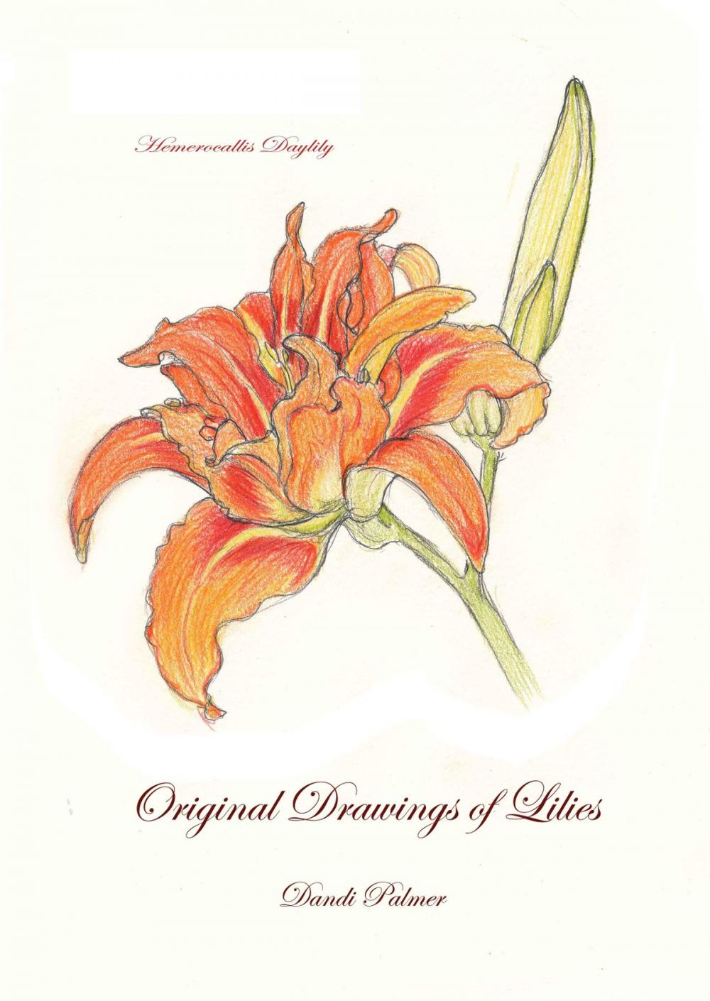 Big bigCover of Original Drawings of Lilies