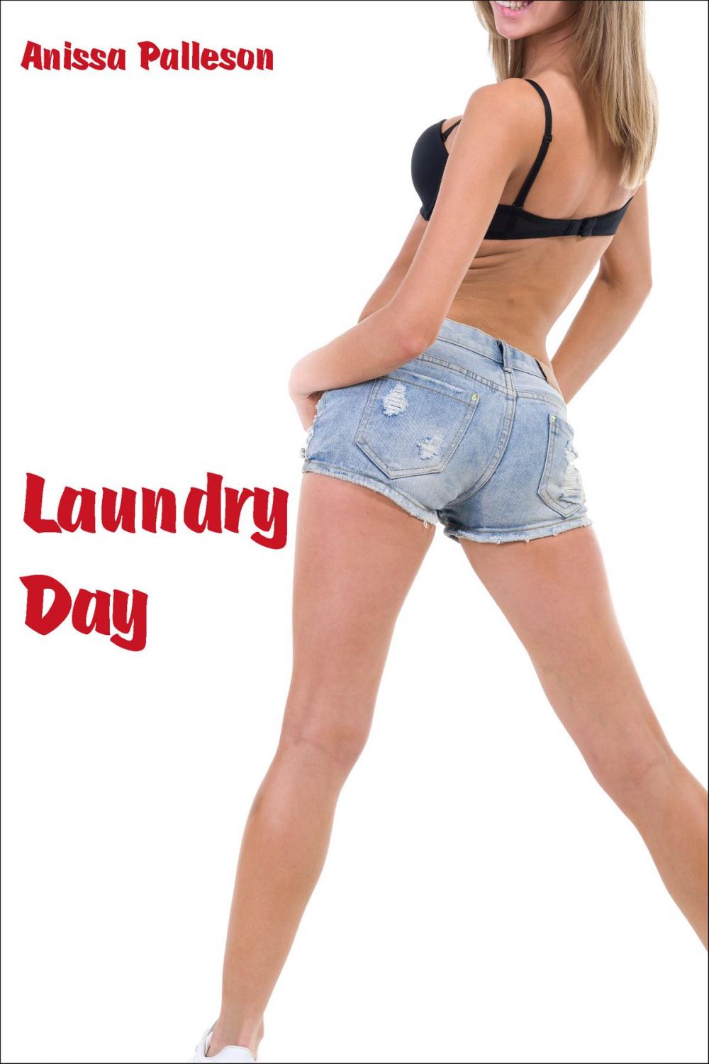 Big bigCover of Laundry Day