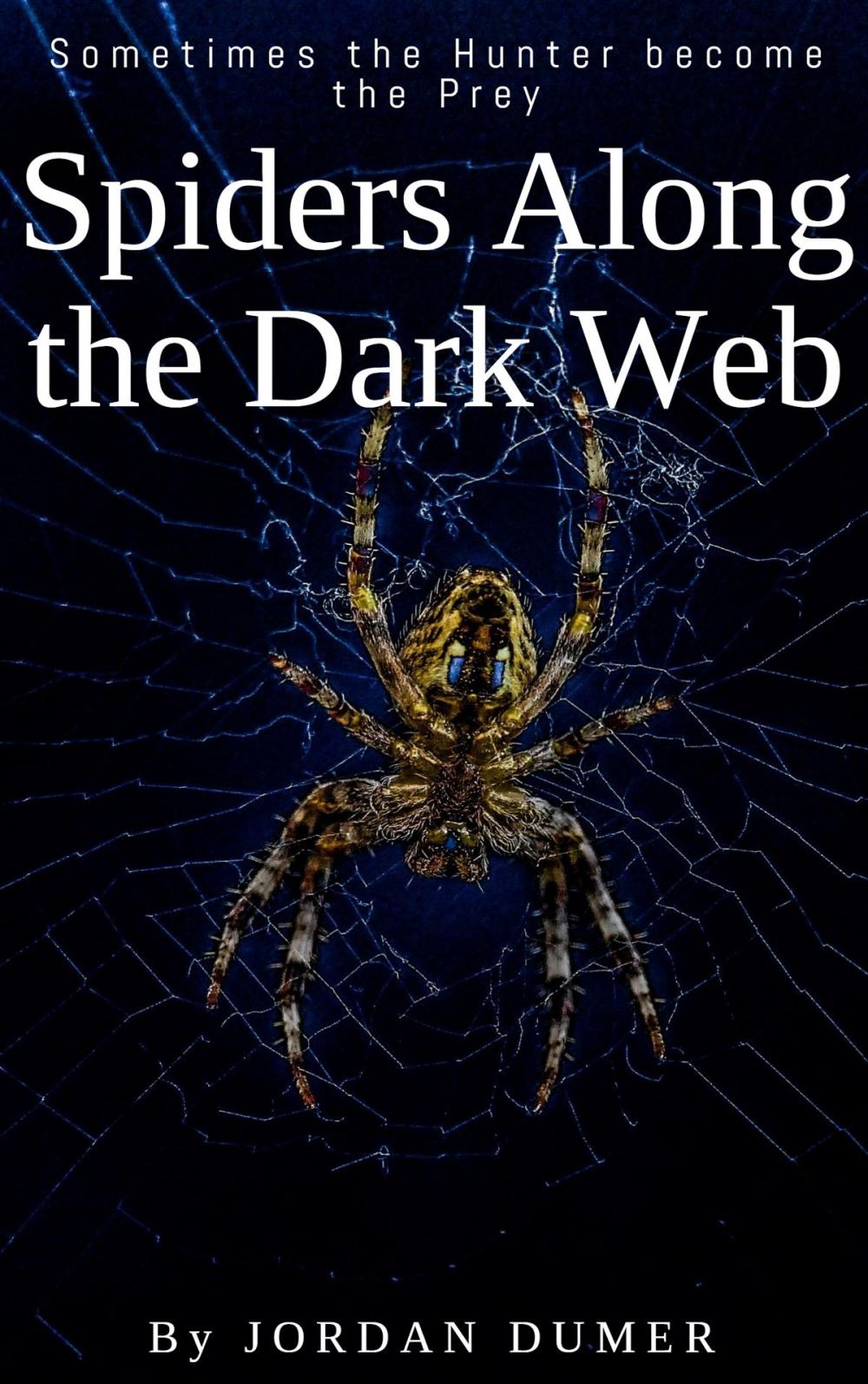 Big bigCover of The Spiders Dark Web