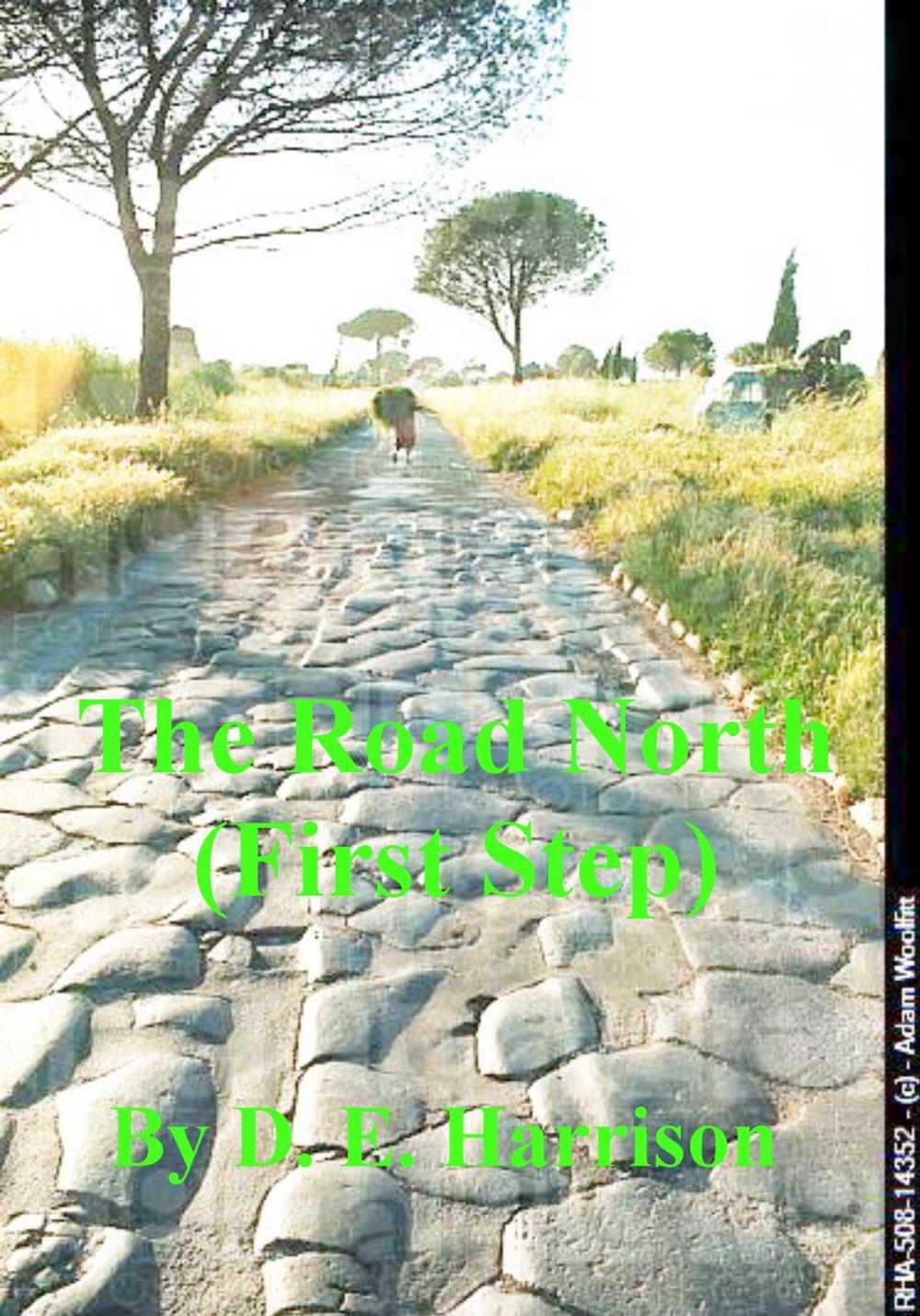 Big bigCover of The Road North (First Step)