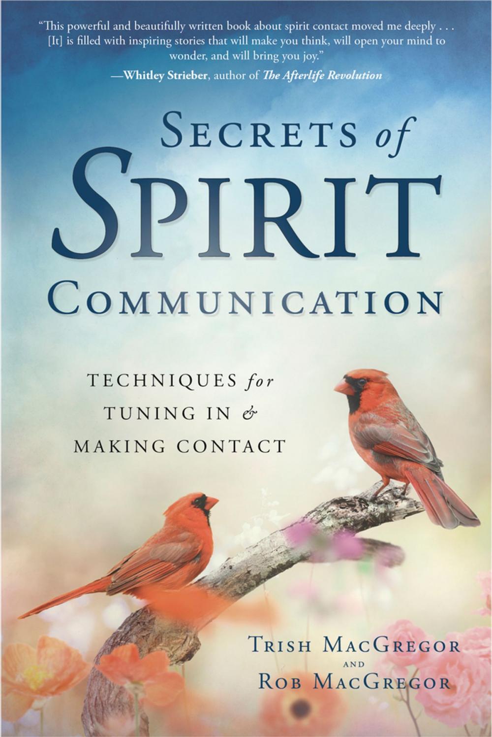 Big bigCover of Secrets of Spirit Communication