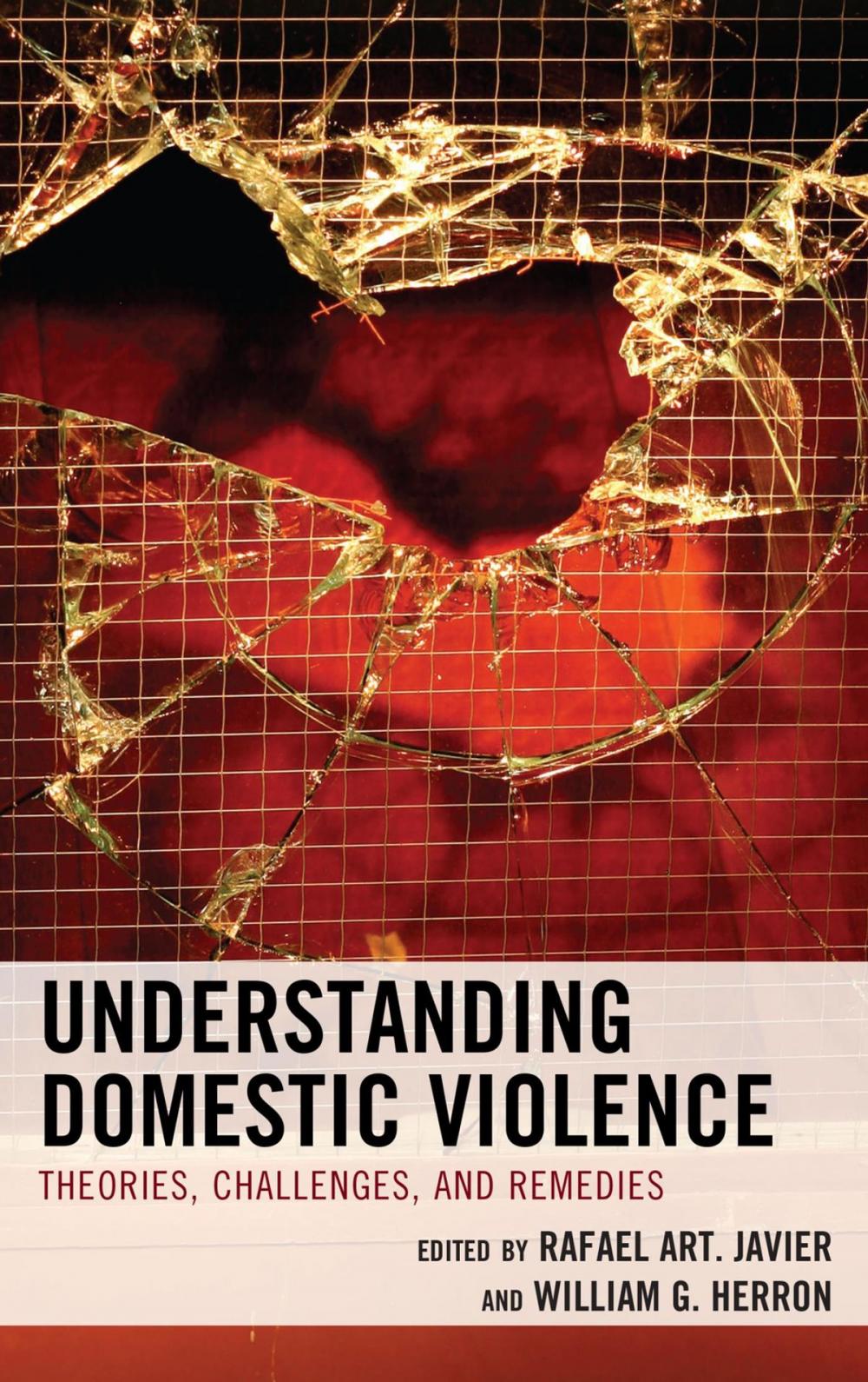 Big bigCover of Understanding Domestic Violence