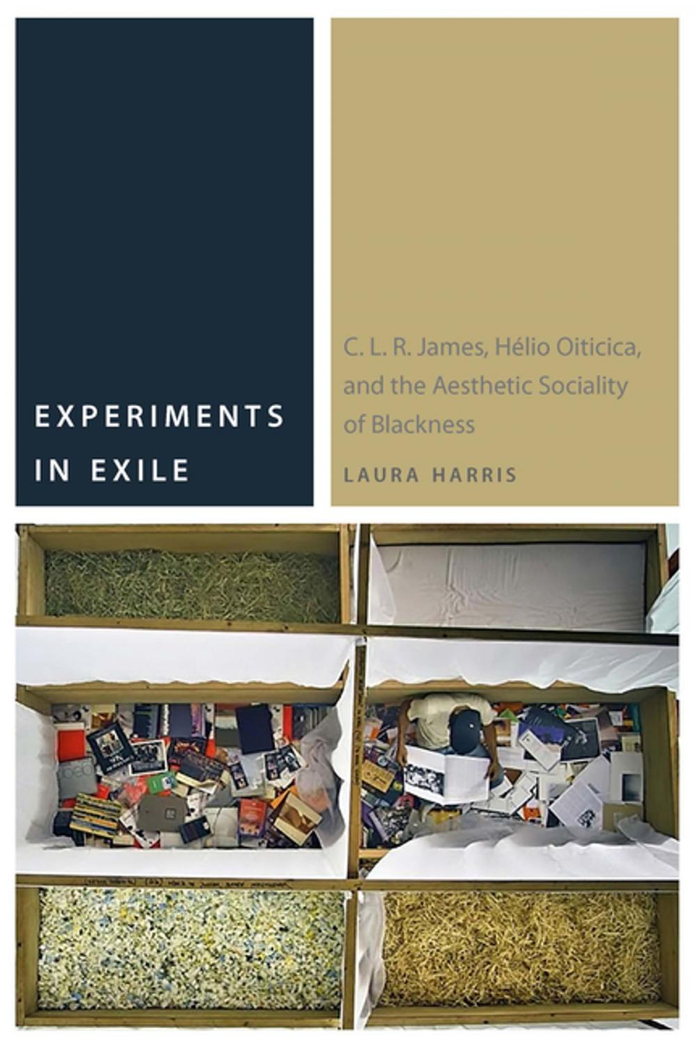 Big bigCover of Experiments in Exile