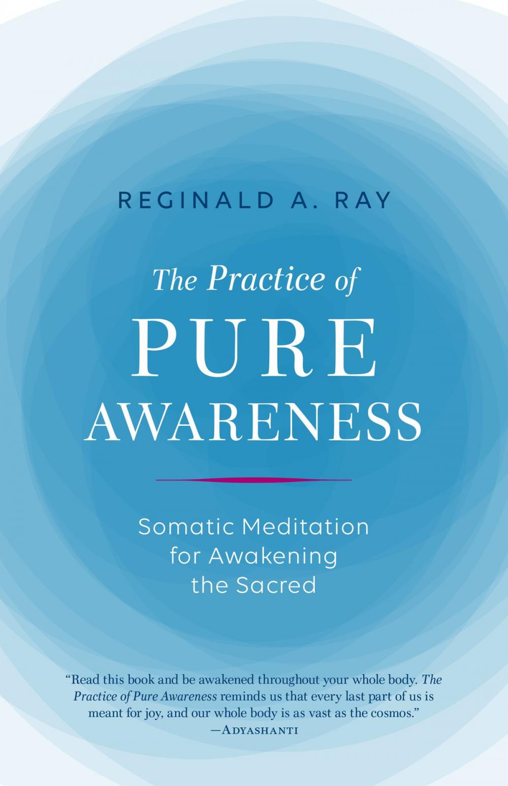 Big bigCover of The Practice of Pure Awareness