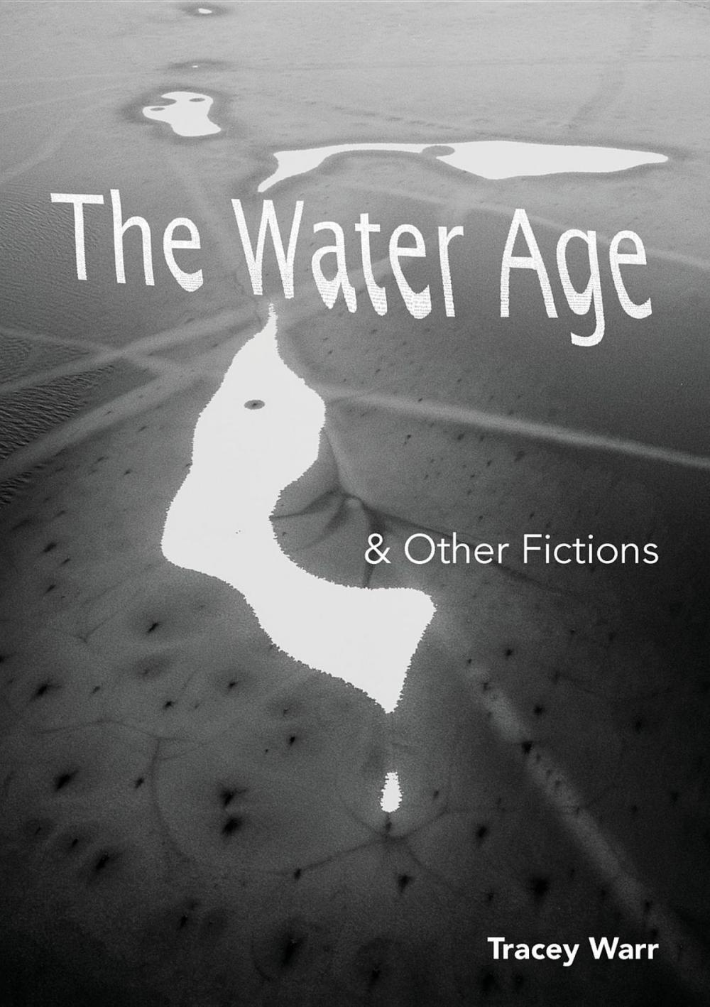 Big bigCover of The Water Age & Other Fictions