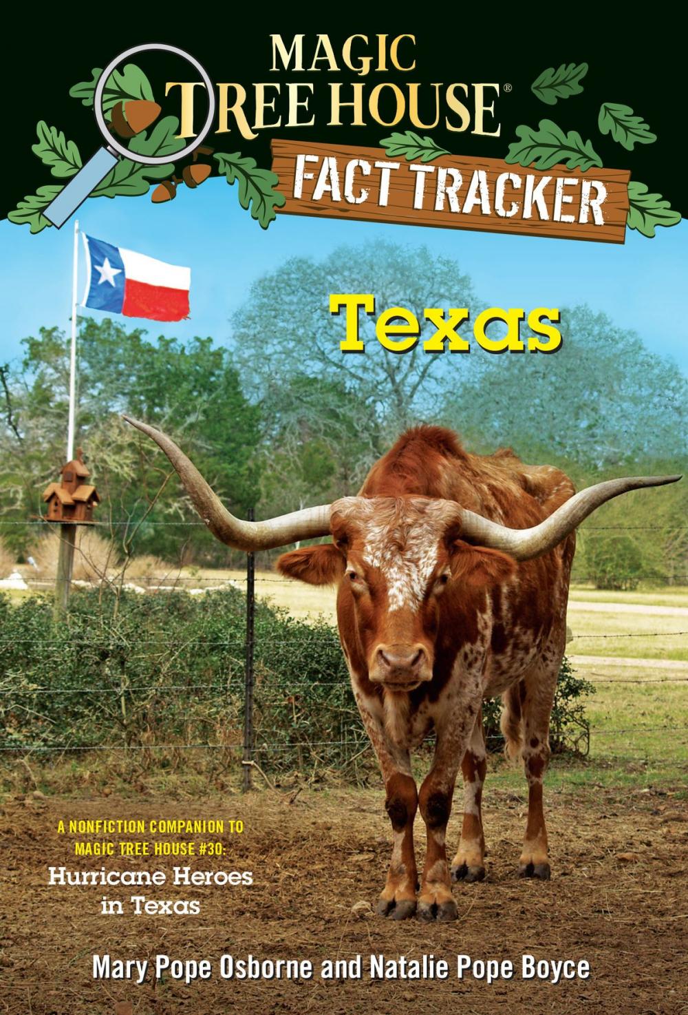 Big bigCover of Texas