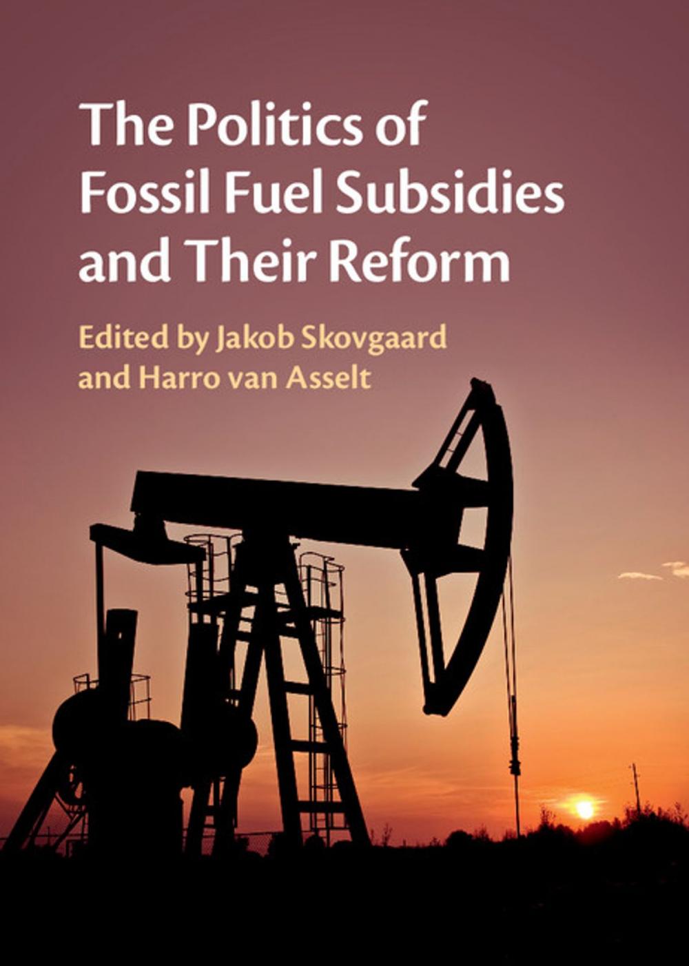 Big bigCover of The Politics of Fossil Fuel Subsidies and Their Reform