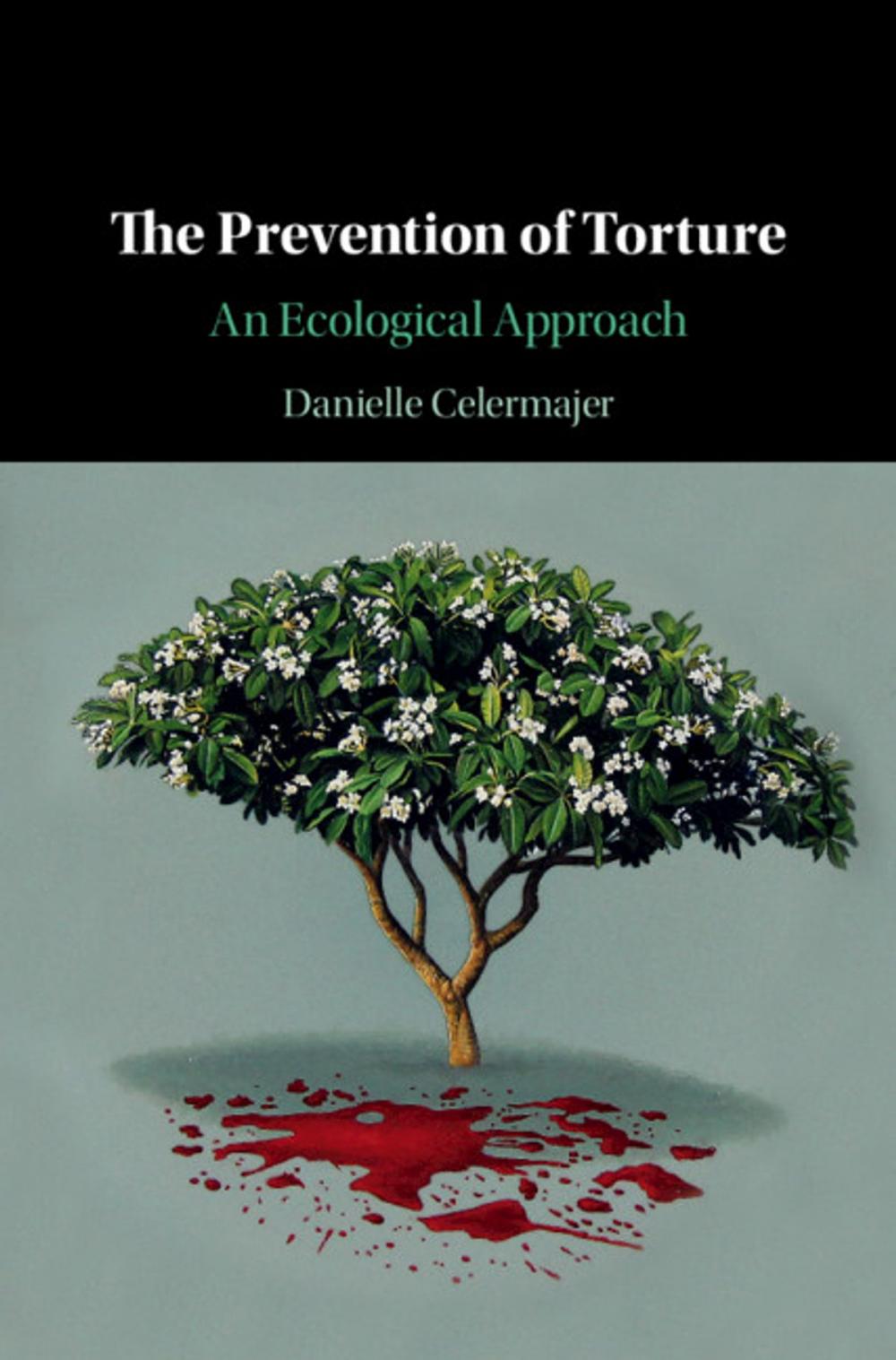 Big bigCover of The Prevention of Torture
