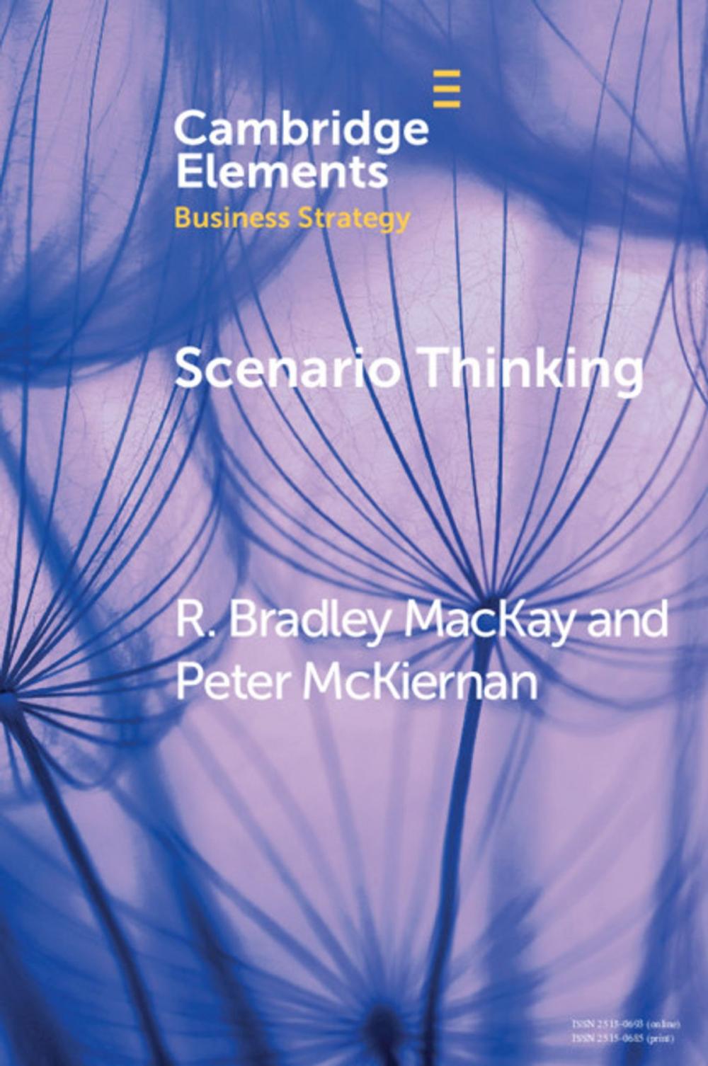 Big bigCover of Scenario Thinking