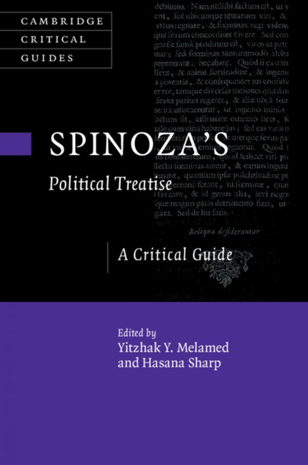 Big bigCover of Spinoza's Political Treatise