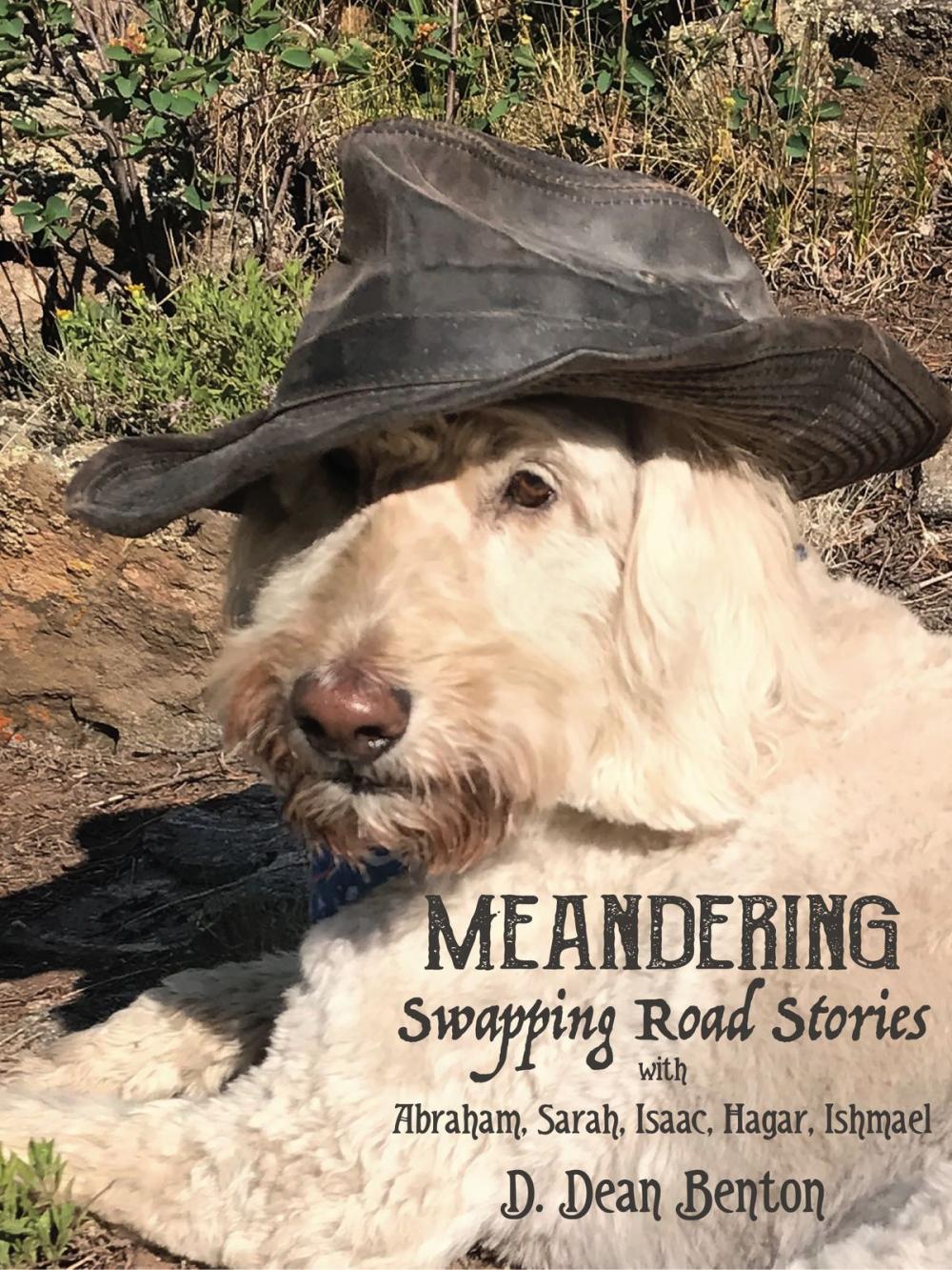 Big bigCover of Meanderings: Swapping Road Stories With Abraham, Sarah, Isaac, Hagar, Ishmael