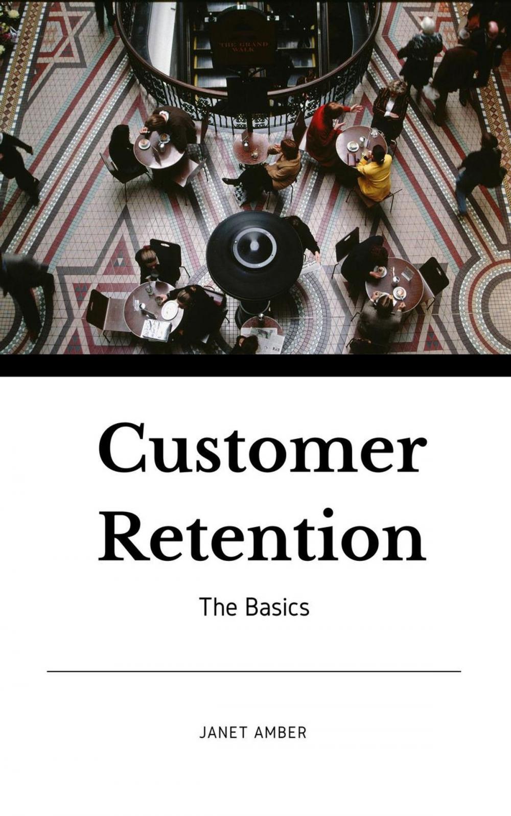 Big bigCover of Customer Retention: The Basics