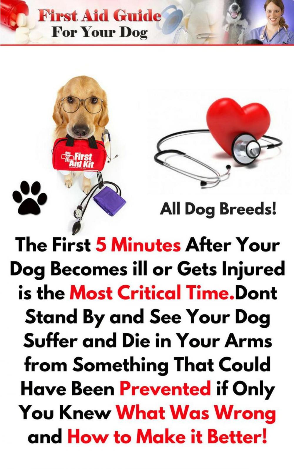 Big bigCover of First Aid Guide for Your Dog