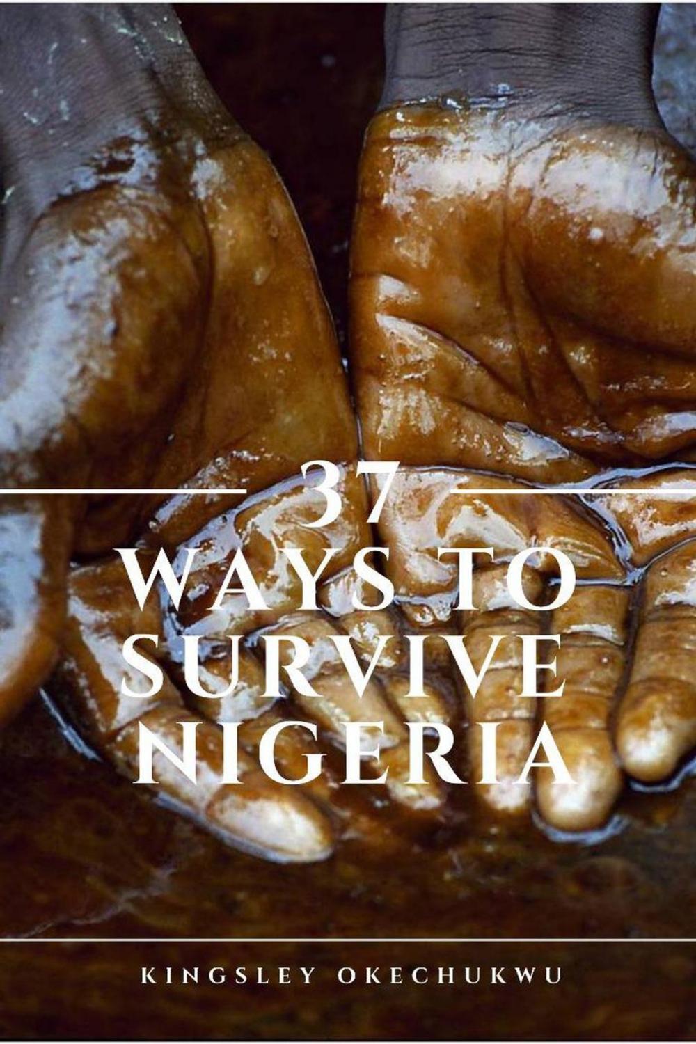 Big bigCover of 37 Ways To Survive Nigeria