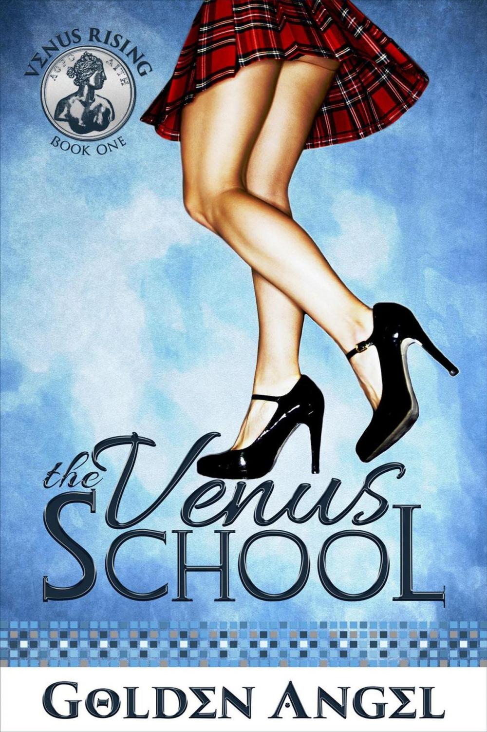 Big bigCover of The Venus School