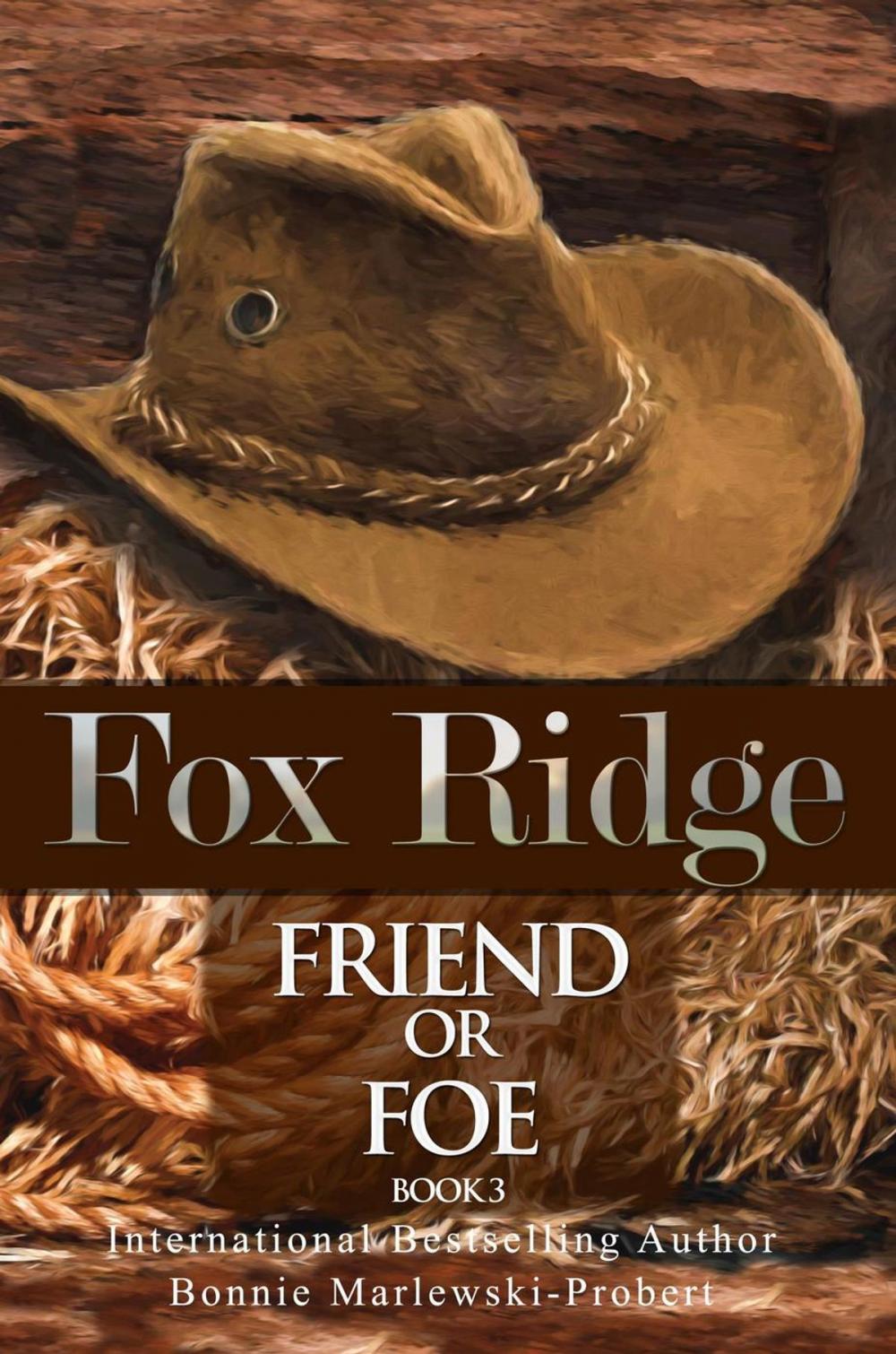 Big bigCover of Fox Ridge, Friend or Foe, Book 3