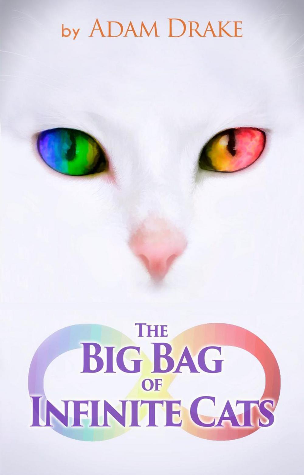 Big bigCover of The Big Bag of Infinite Cats