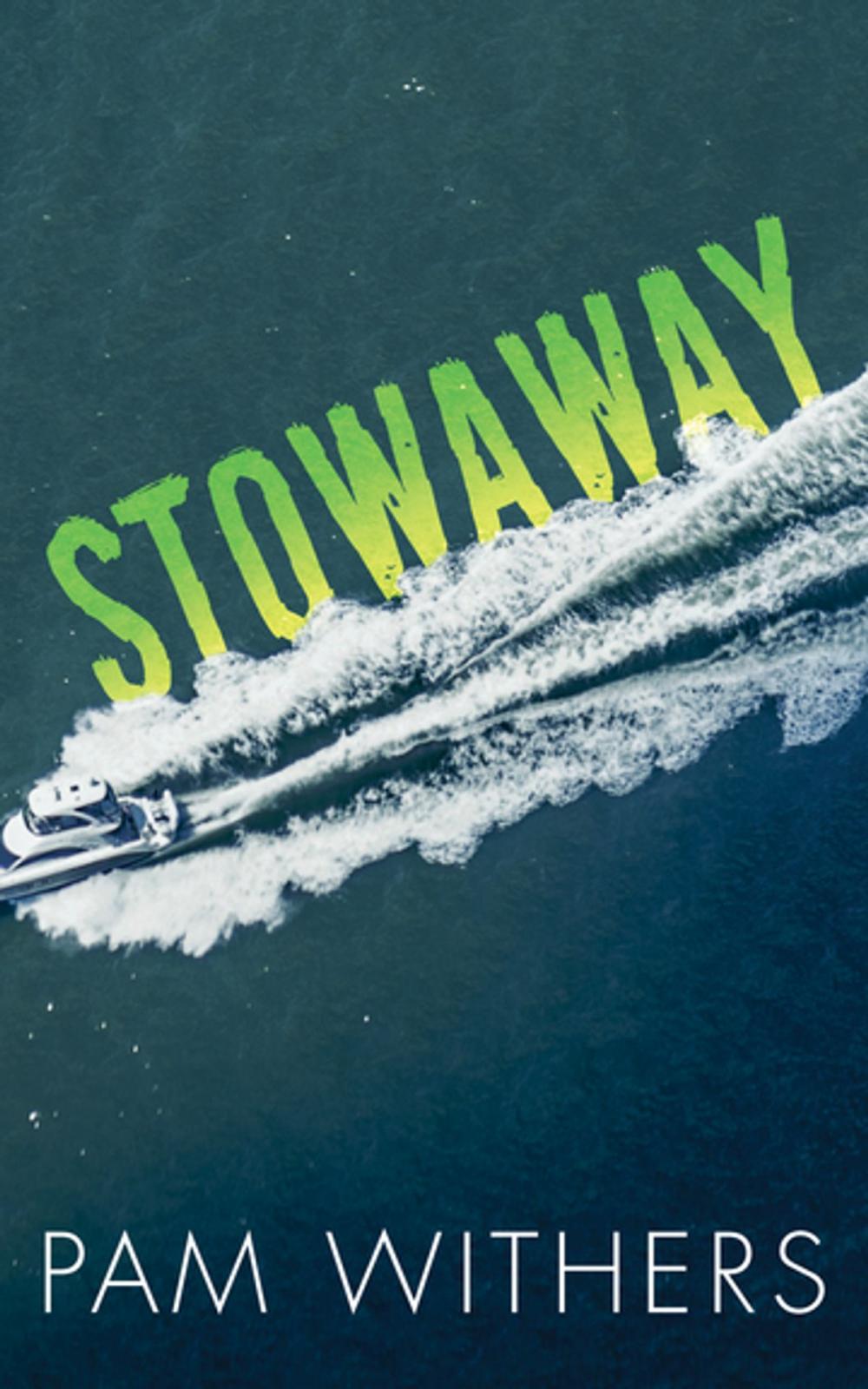 Big bigCover of Stowaway