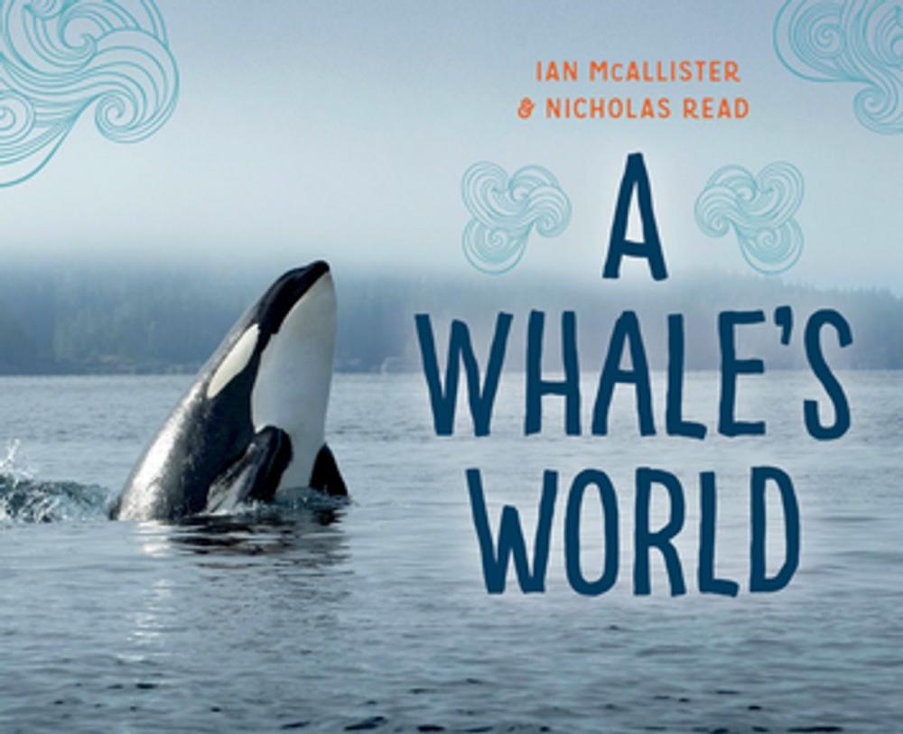 Big bigCover of A Whale's World