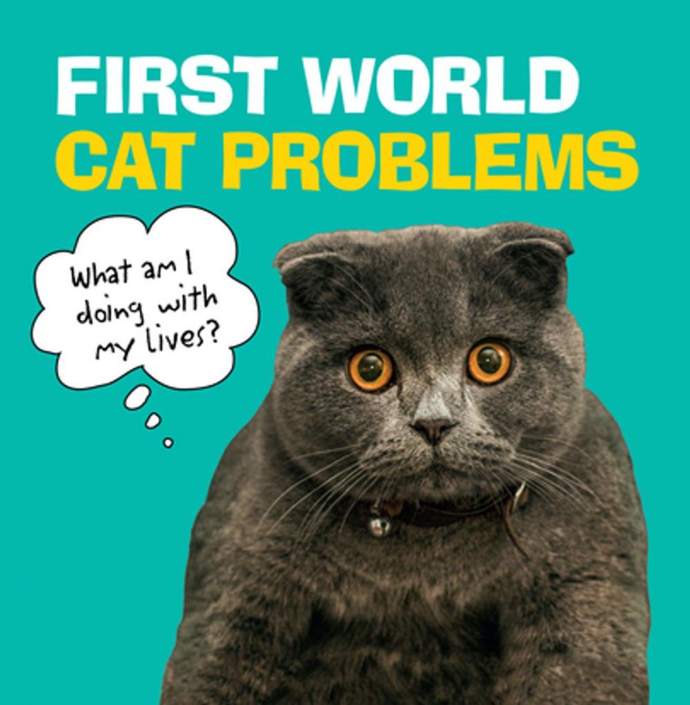 Big bigCover of First World Cat Problems