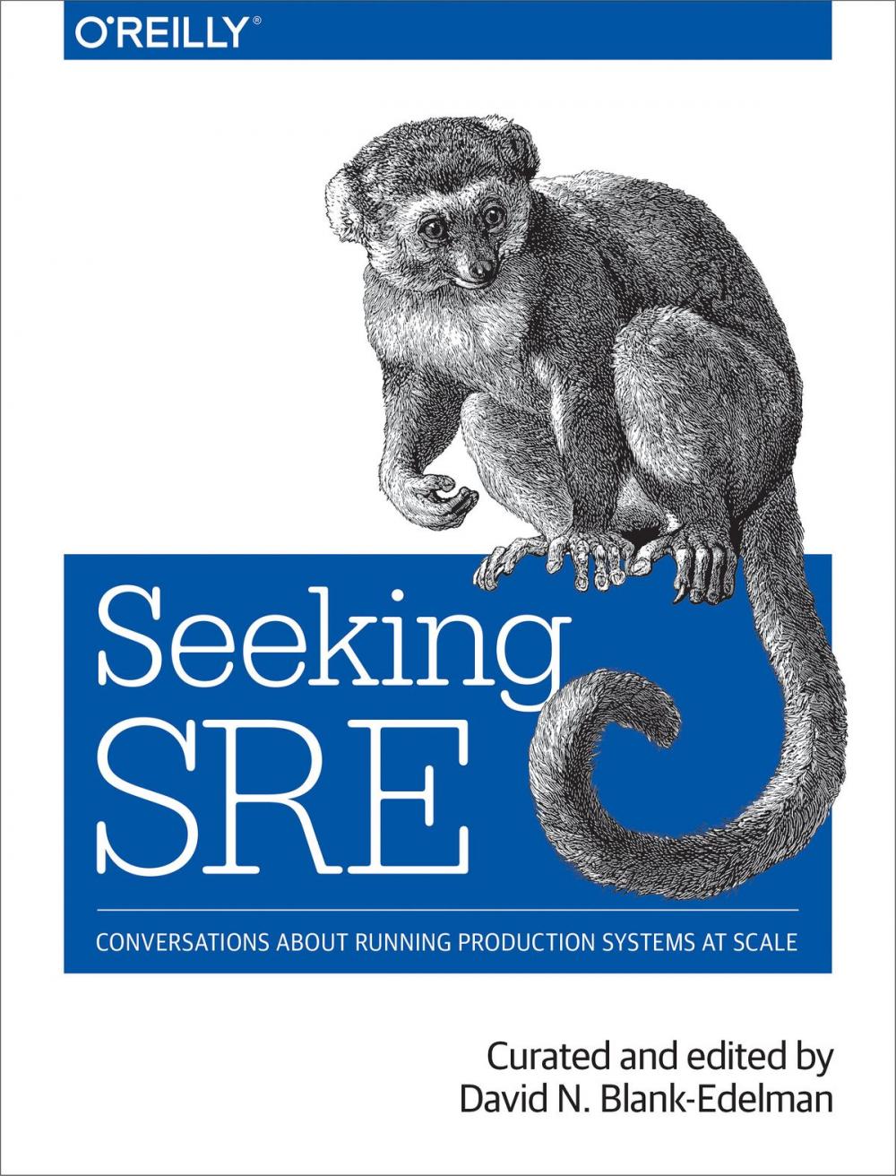 Big bigCover of Seeking SRE