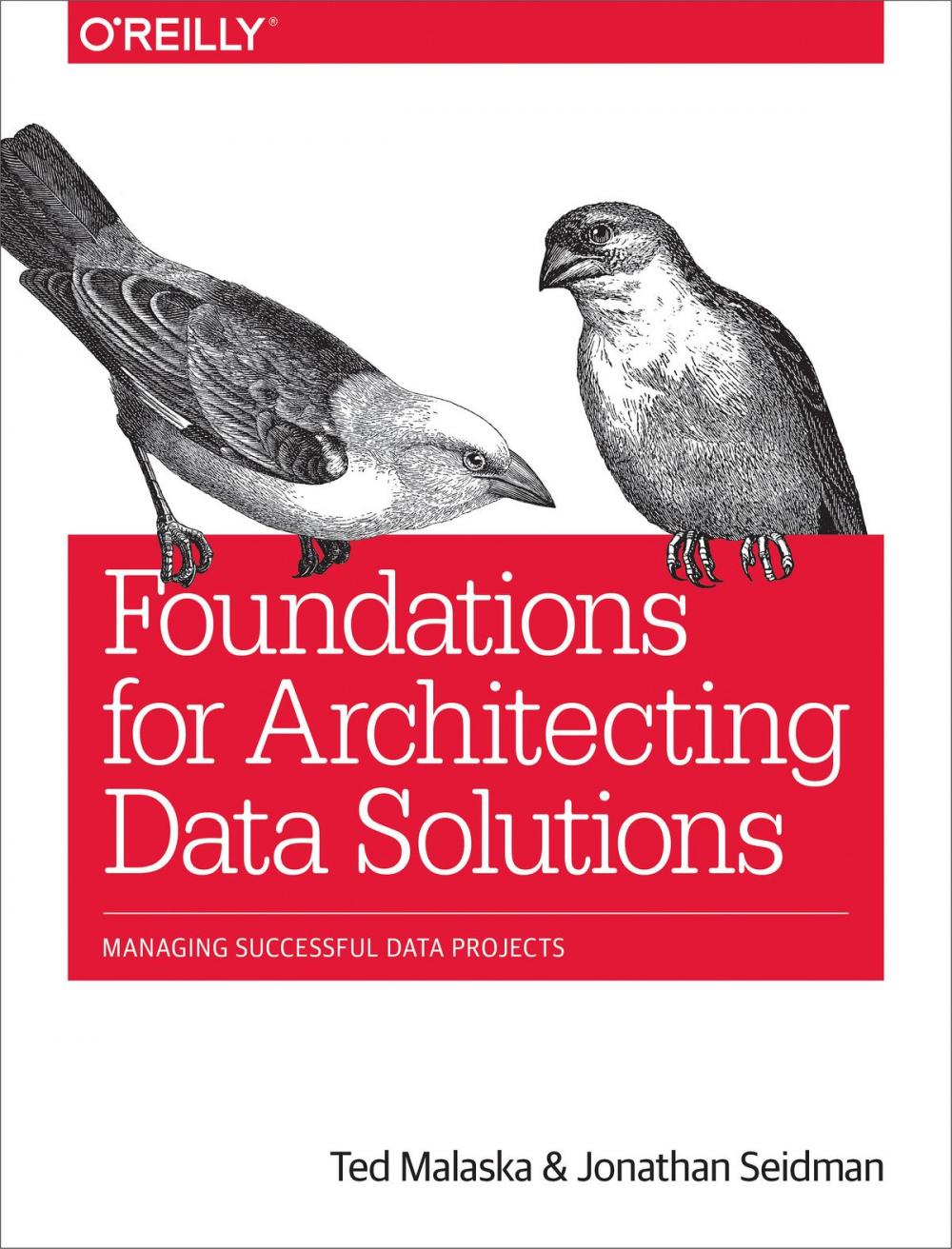 Big bigCover of Foundations for Architecting Data Solutions