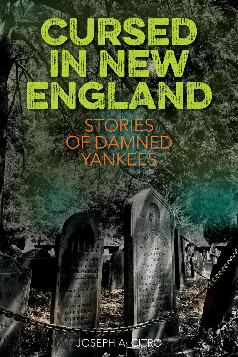 Big bigCover of Cursed in New England