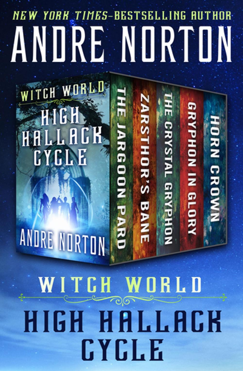 Big bigCover of Witch World: High Hallack Cycle