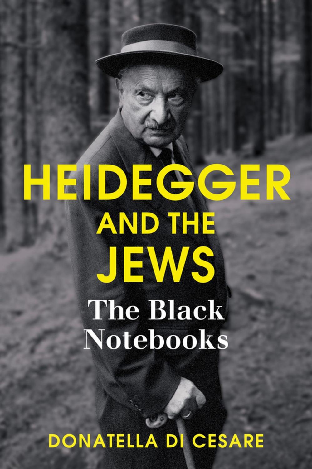 Big bigCover of Heidegger and the Jews