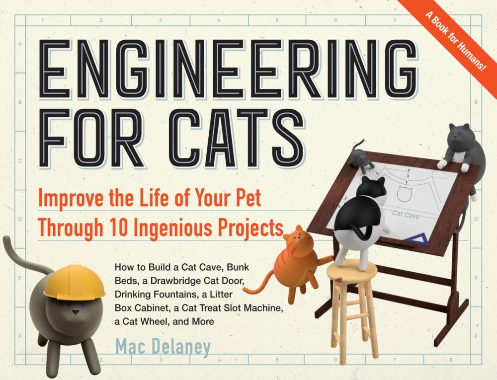 Big bigCover of Engineering for Cats