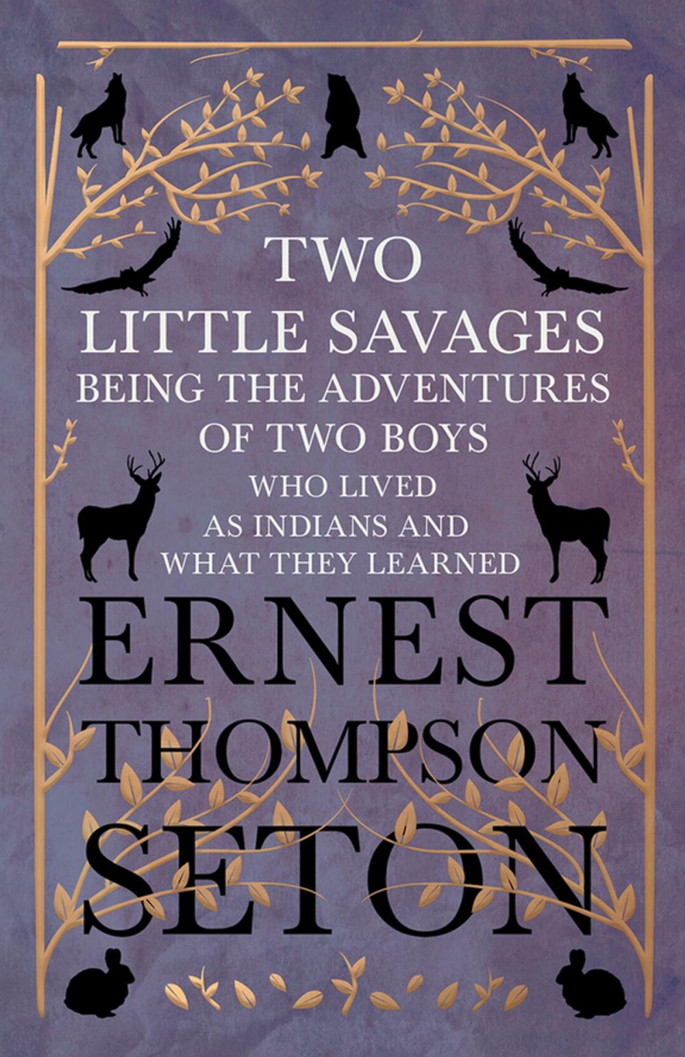 Big bigCover of Two Little Savages - Being the Adventures of Two Boys who Lived as Indians and What They Learned