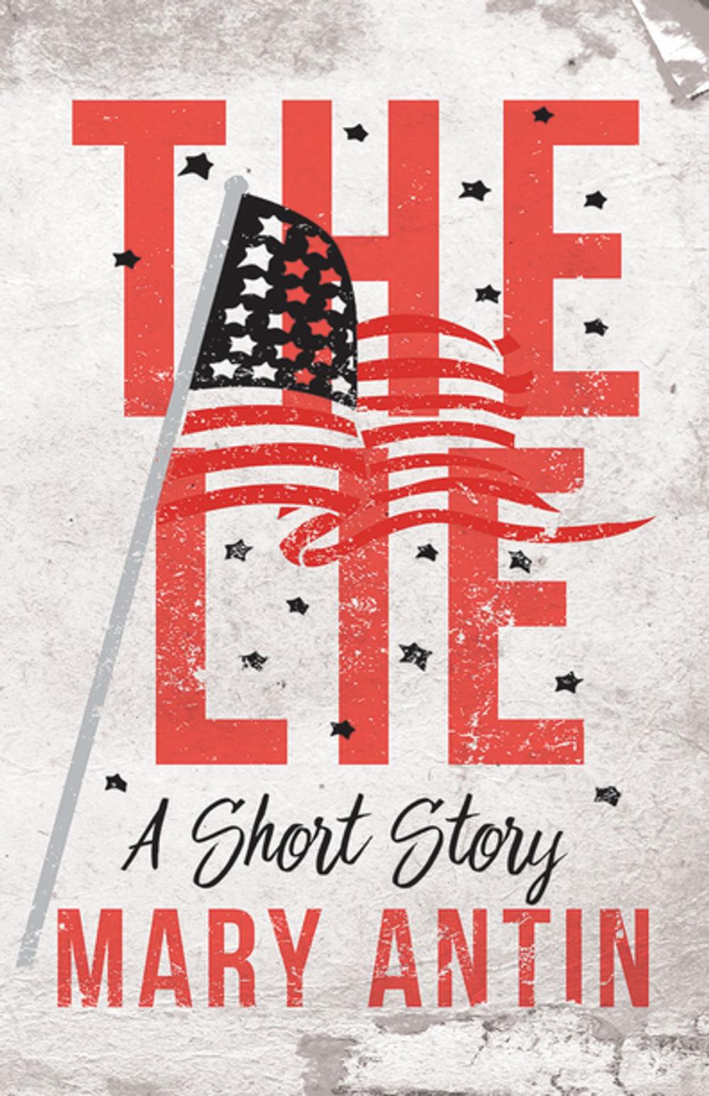 Big bigCover of The Lie - A Short Story