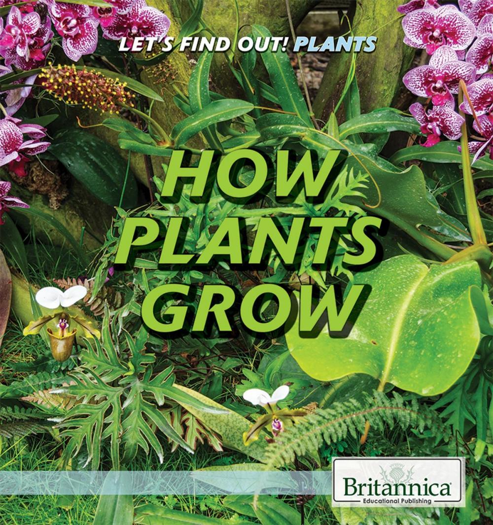 Big bigCover of How Plants Grow