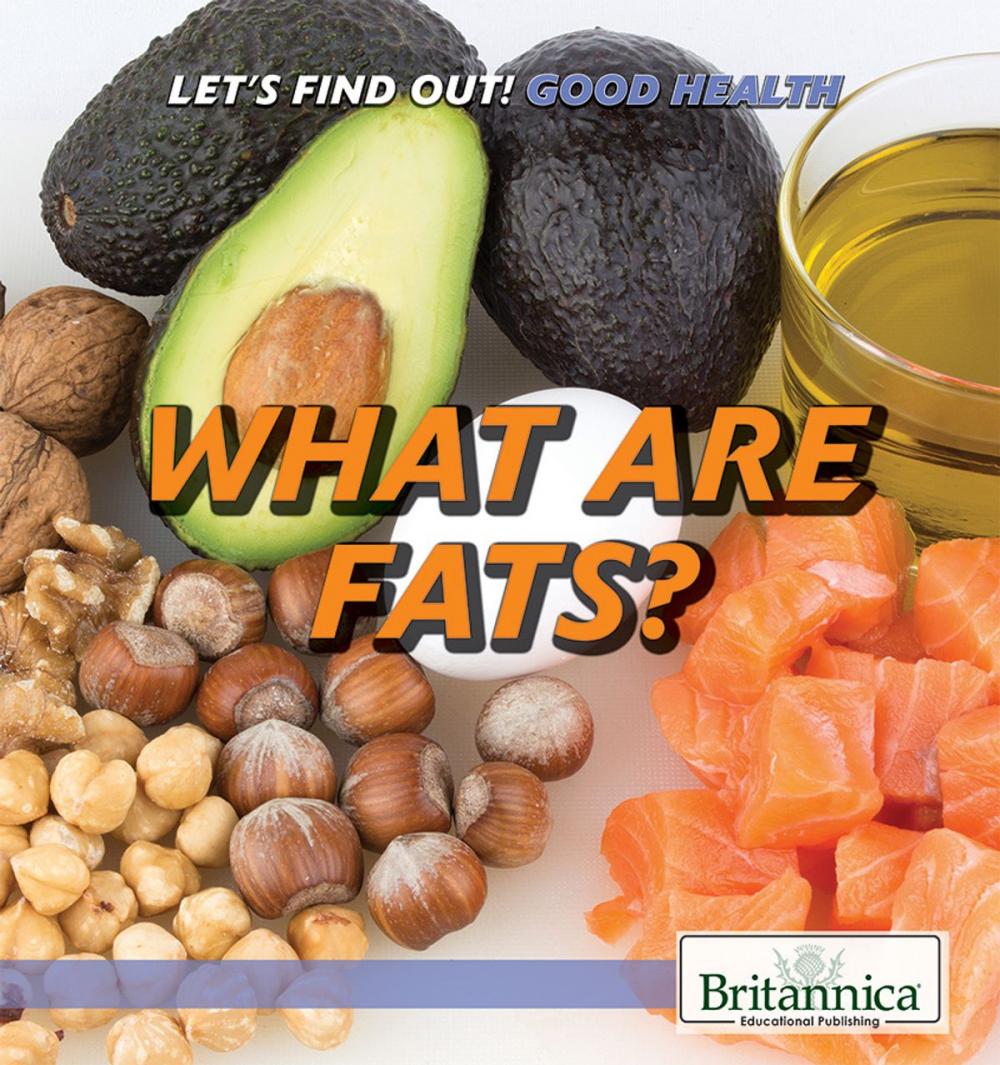 Big bigCover of What Are Fats?