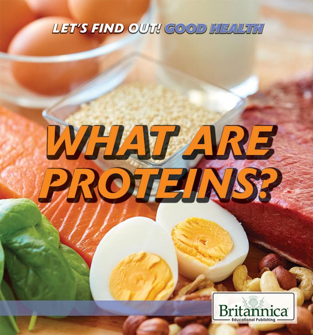 Big bigCover of What Are Proteins?